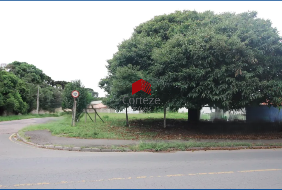 Terreno para à venda no Rio Pequeno em São José dos Pinhais - 19594: 