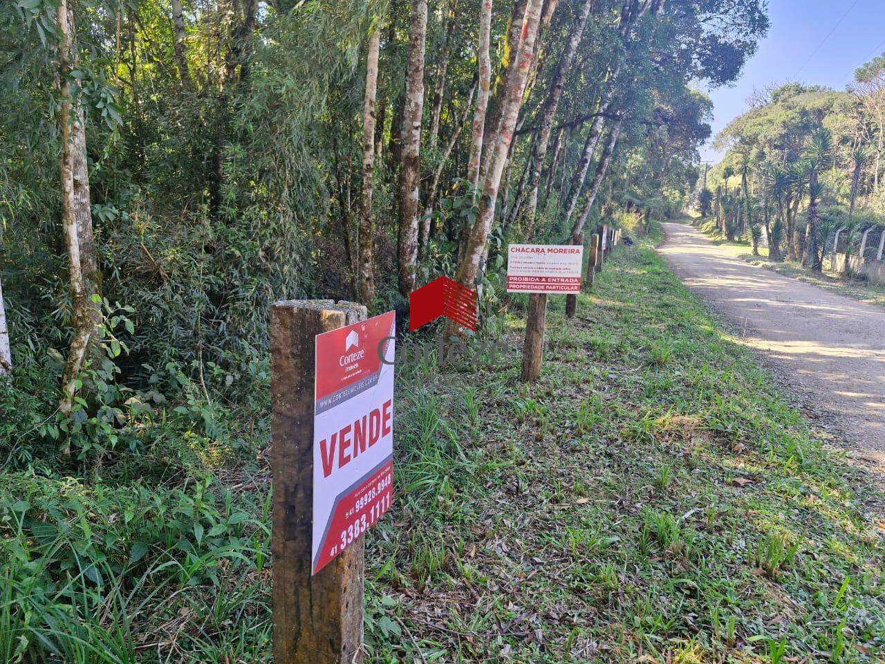 Área Rural para à venda no Borda do Campo em São José dos Pinhais - 19852: 