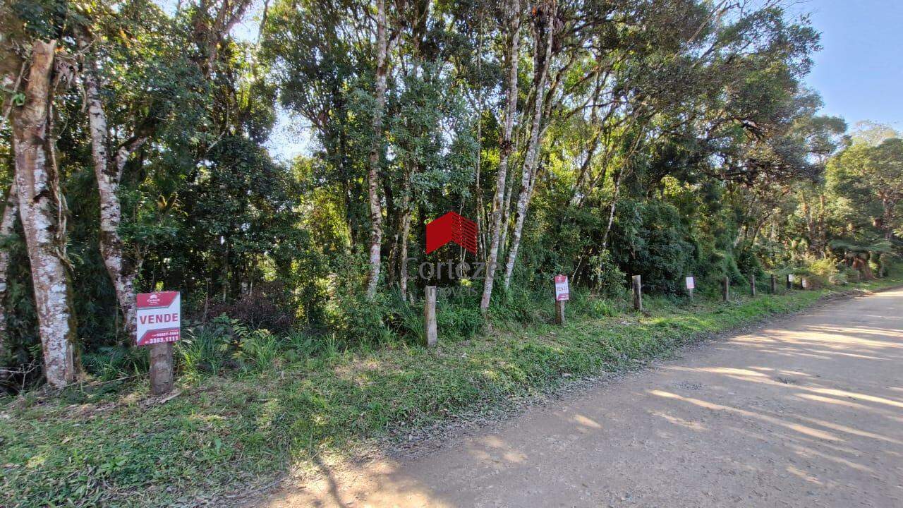 Área Rural para à venda no Borda do Campo em São José dos Pinhais - 19852: 
