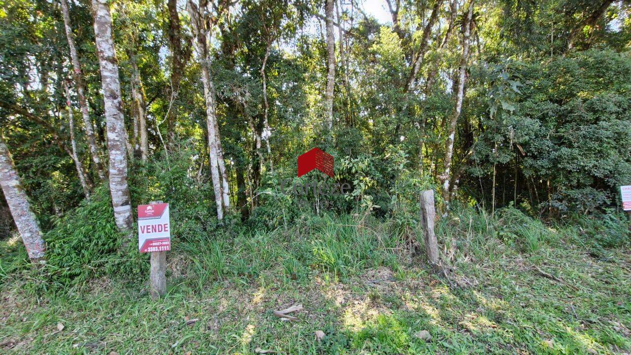Área Rural para à venda no Borda do Campo em São José dos Pinhais - 19852: 
