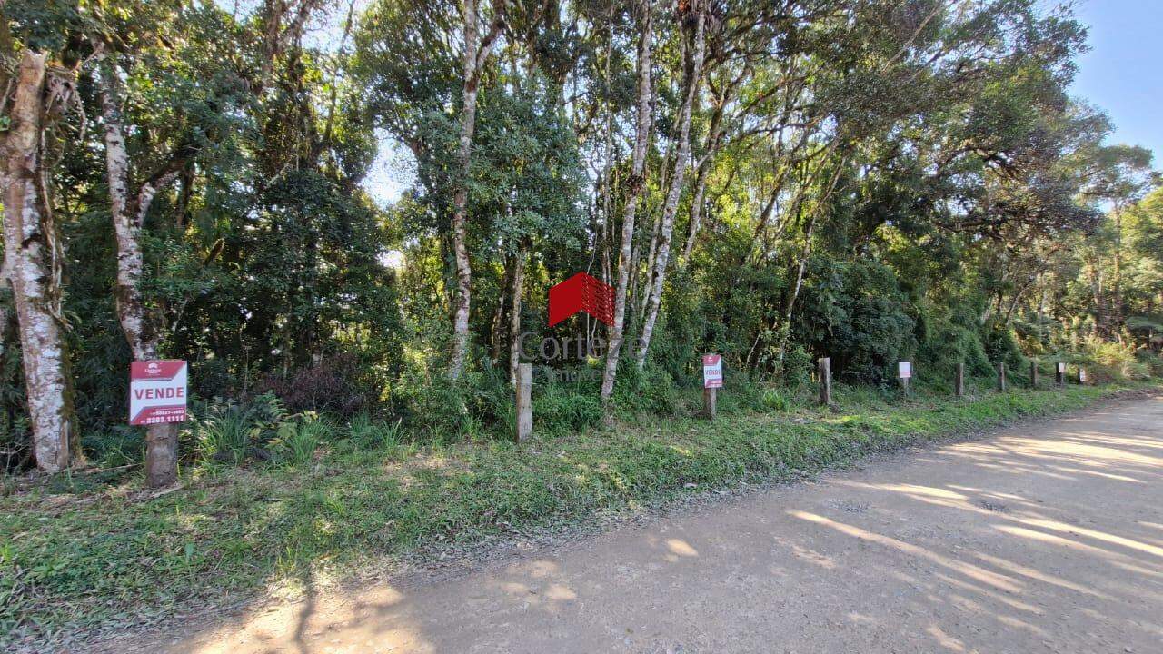 Área Rural para à venda no Borda do Campo em São José dos Pinhais - 19852: 