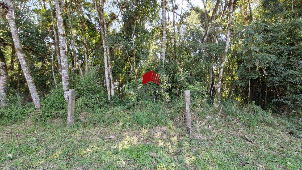 Área Rural para à venda no Borda do Campo em São José dos Pinhais - 19852: 