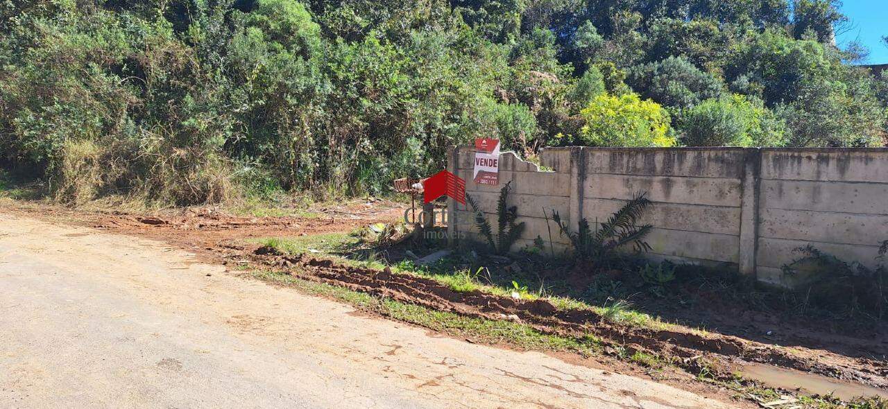 Terreno para à venda no Del Rey em São José dos Pinhais - 19902: 