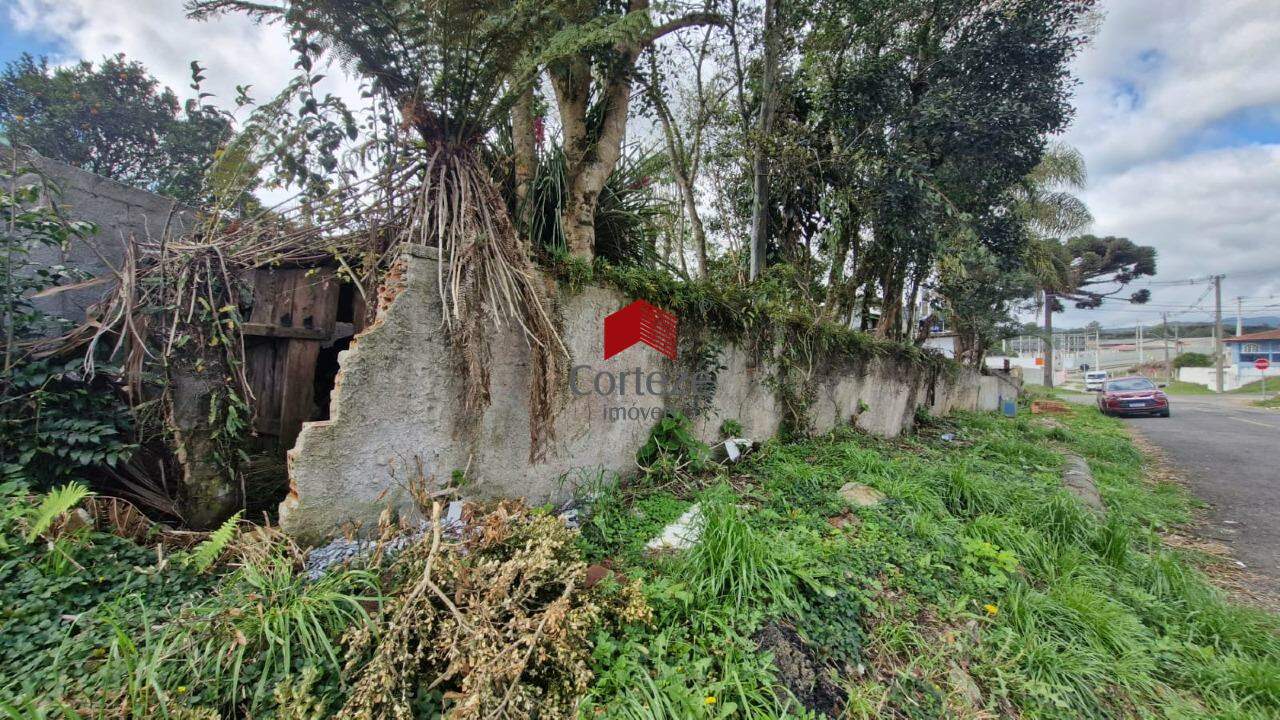 Terreno para à venda no Contenda em São José dos Pinhais - 20097: 
