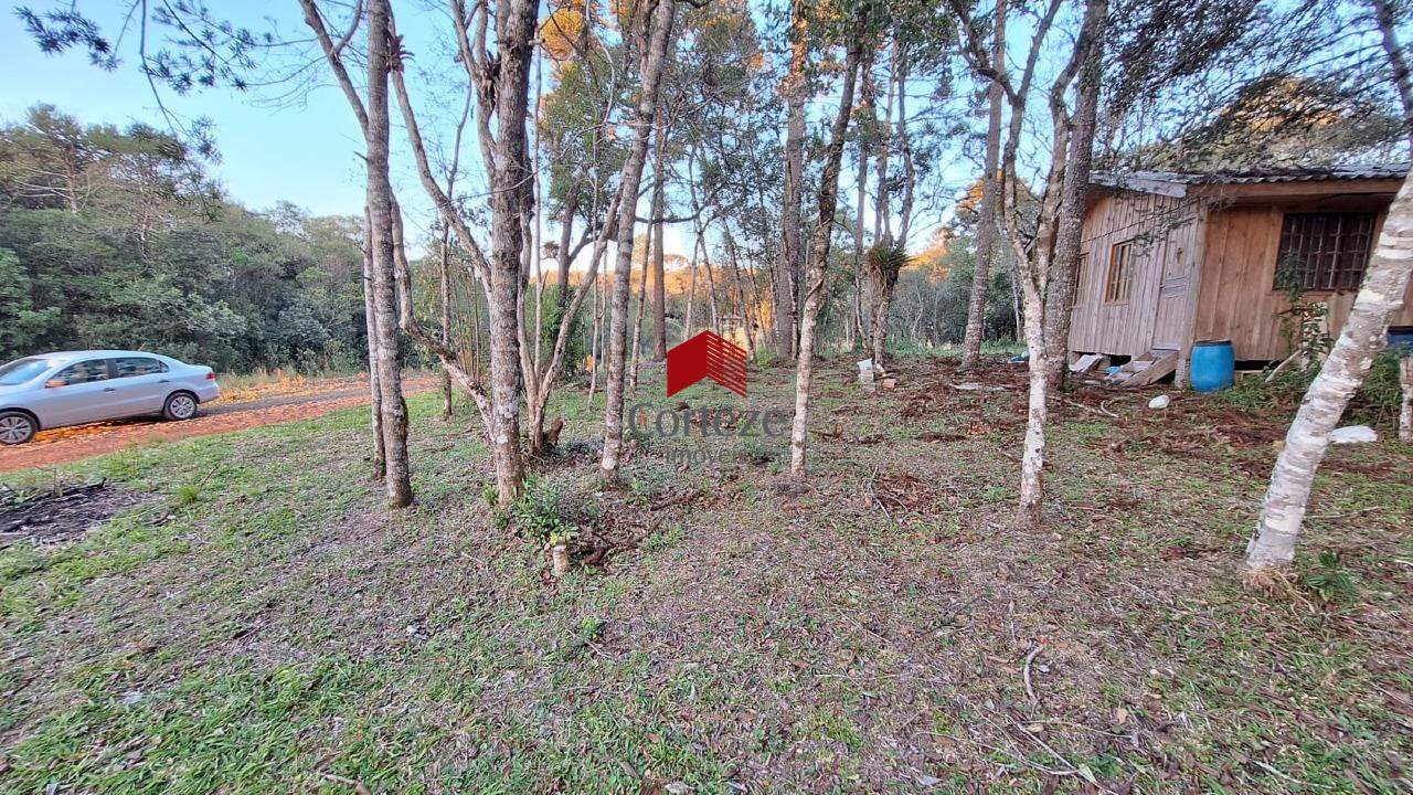 Terreno para à venda no Borda do Campo em São José dos Pinhais - 20186: 