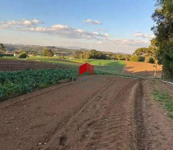 Chácara para à venda no Colônia Murici em São José dos Pinhais - 20257: 