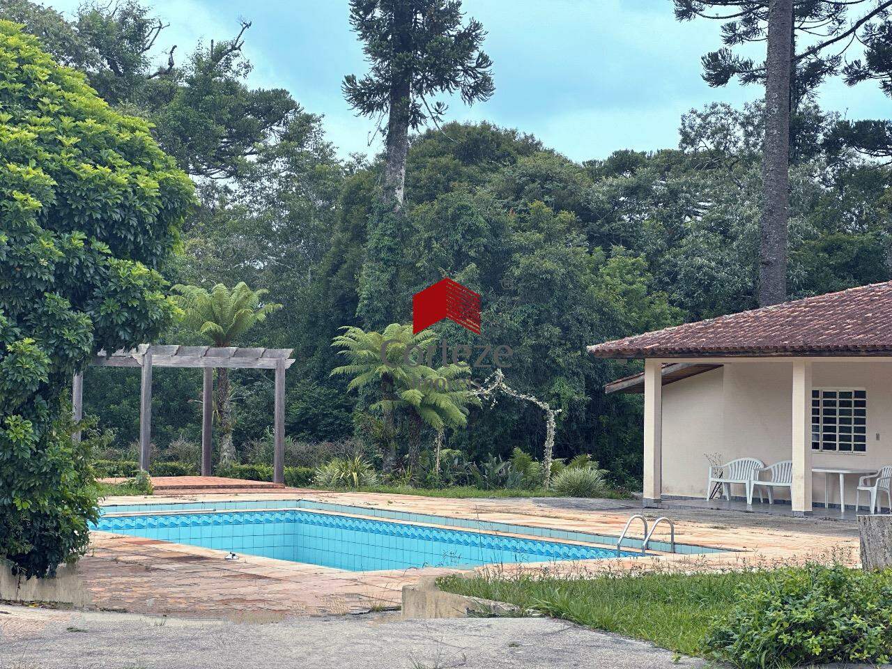 Chácara para à venda no Borda do Campo em São José dos Pinhais - 20295: 