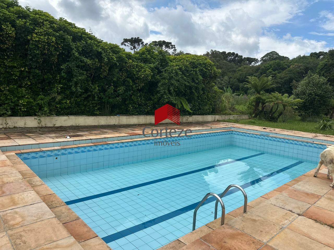 Chácara para à venda no Borda do Campo em São José dos Pinhais - 20295: 