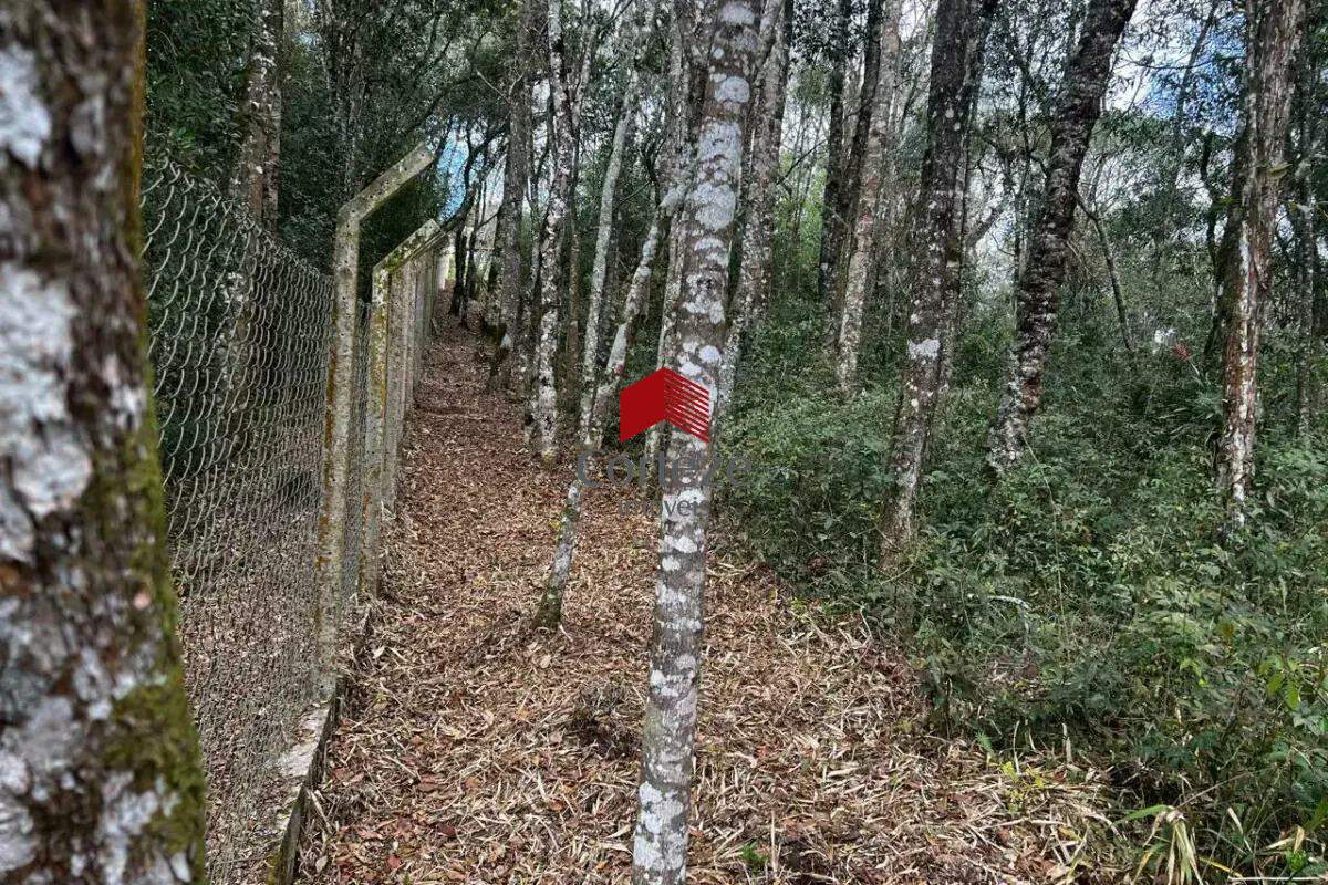 Terreno para à venda no São Braz em Curitiba - 20335: 