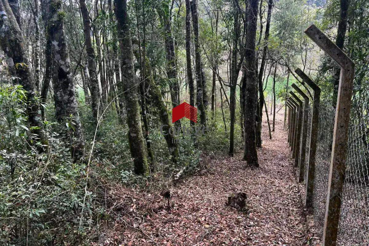Terreno para à venda no São Braz em Curitiba - 20335: 