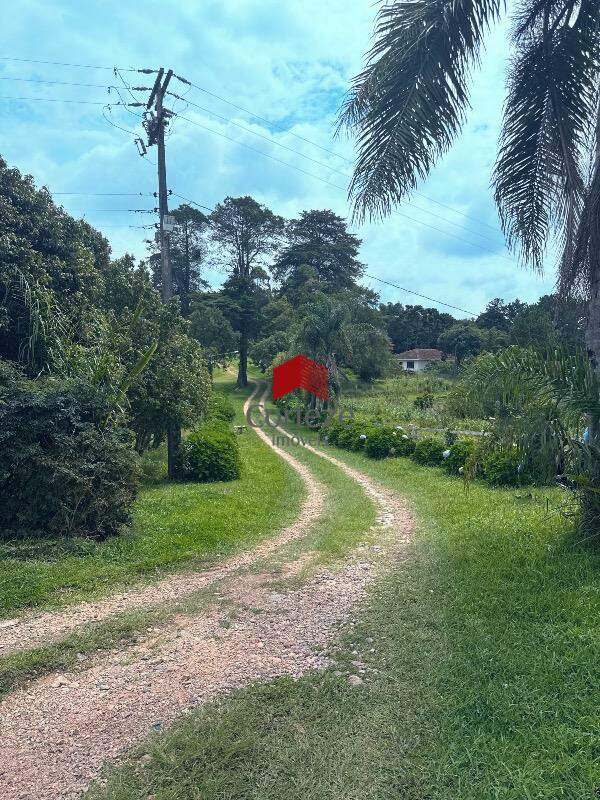 Chácara para à venda no Mergulhão em São José dos Pinhais - 20403: 