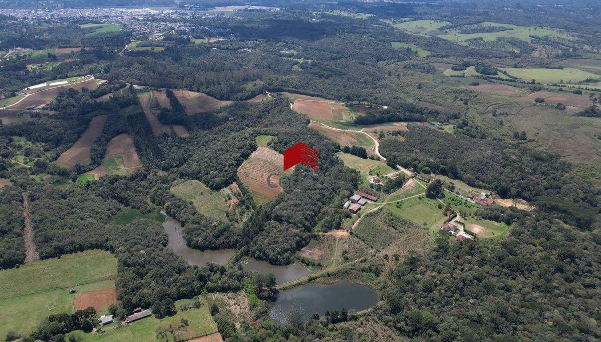 Chácara para à venda no Mergulhão em São José dos Pinhais - 20403: 