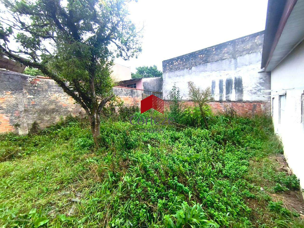 Terreno para à venda no São Braz em Curitiba - 20946: Quintal dos Fundos