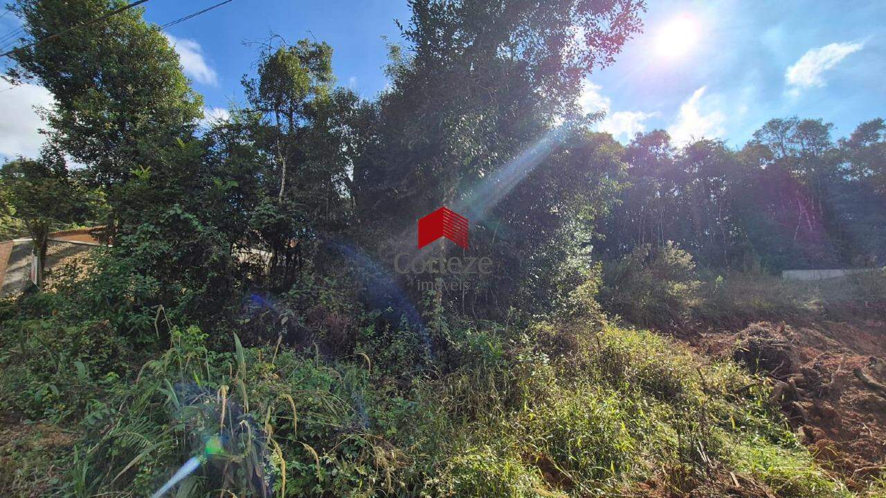Terreno para à venda no Del Rey em São José dos Pinhais - 21088: 