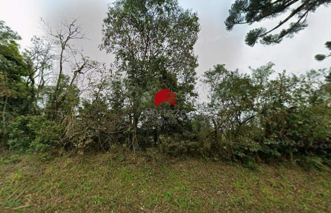 Área Rural para à venda no Centro em Piraquara - 21134: 