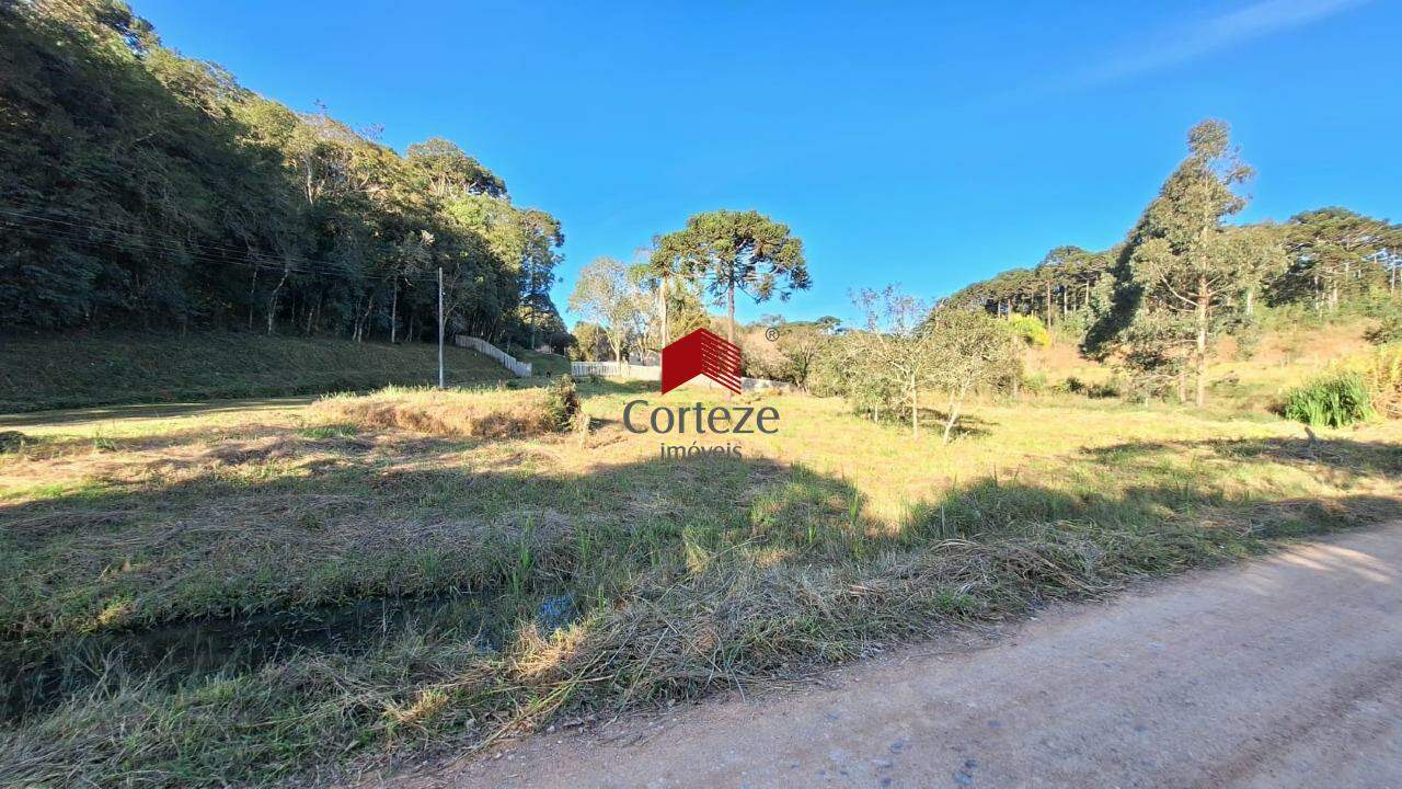 Terreno para à venda no Cachoeira em São José dos Pinhais - 21235: 