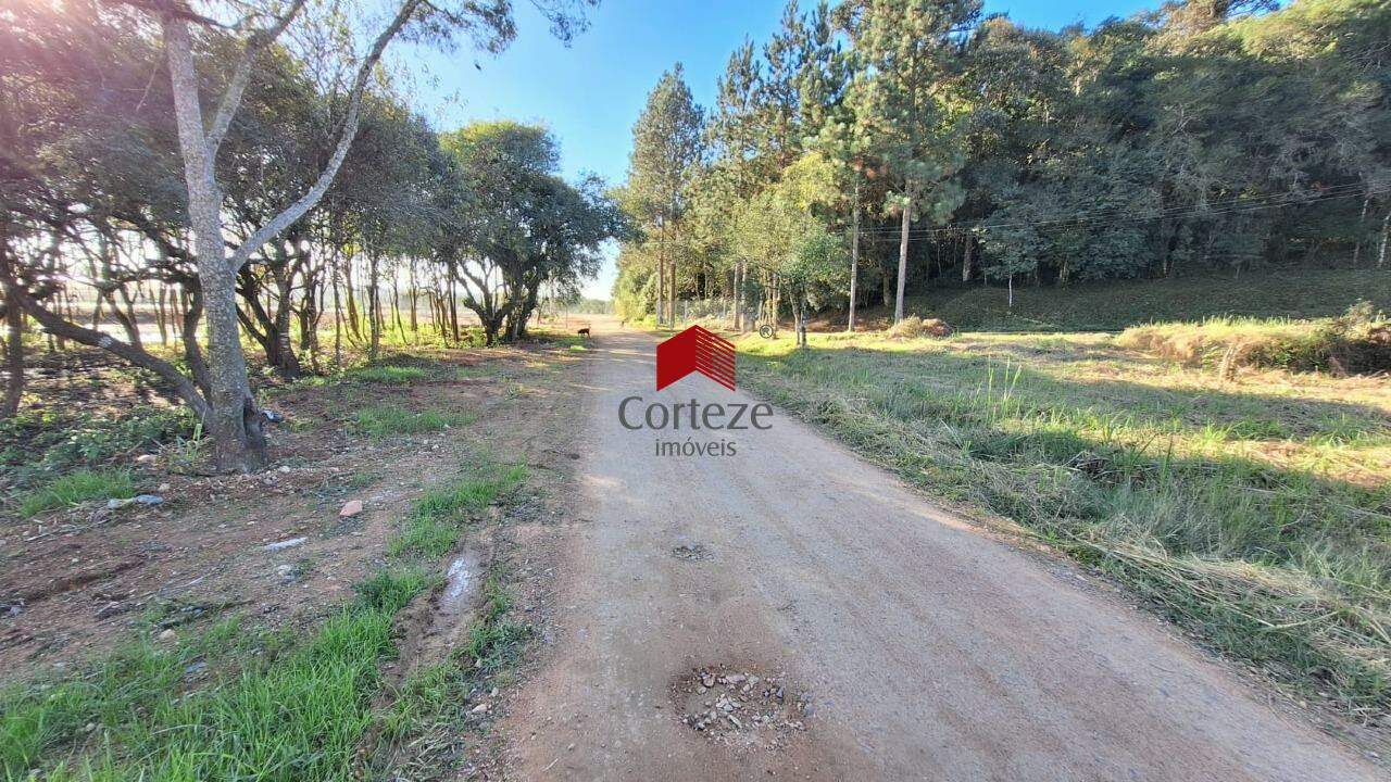 Terreno para à venda no Cachoeira em São José dos Pinhais - 21235: 