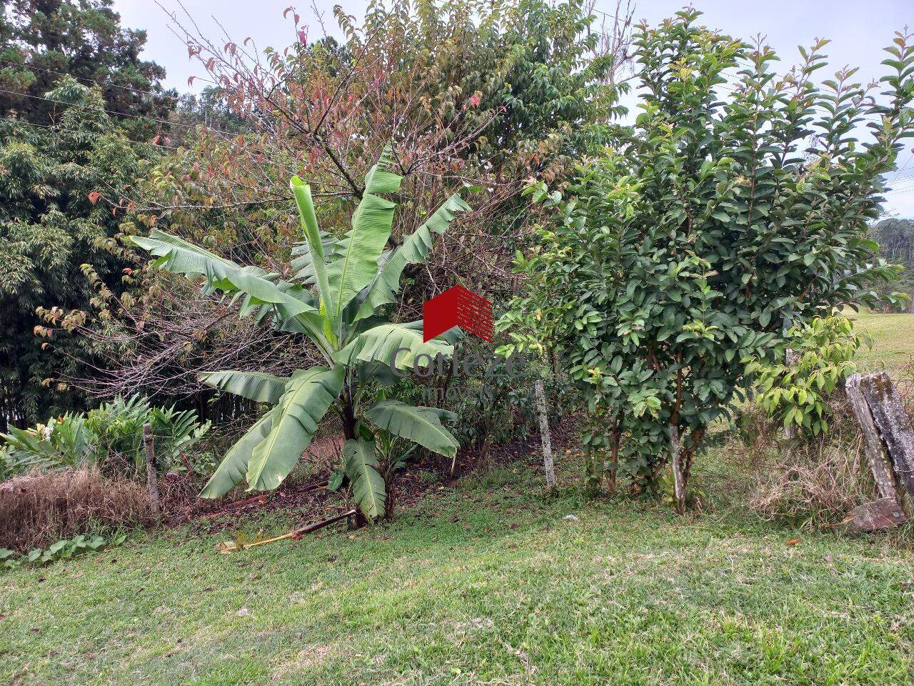 Chácara para à venda no Ipê em São José dos Pinhais - 21260: 