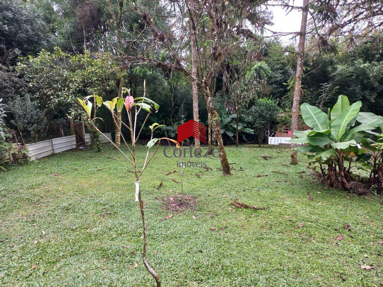 Chácara para à venda no Ipê em São José dos Pinhais - 21260: 