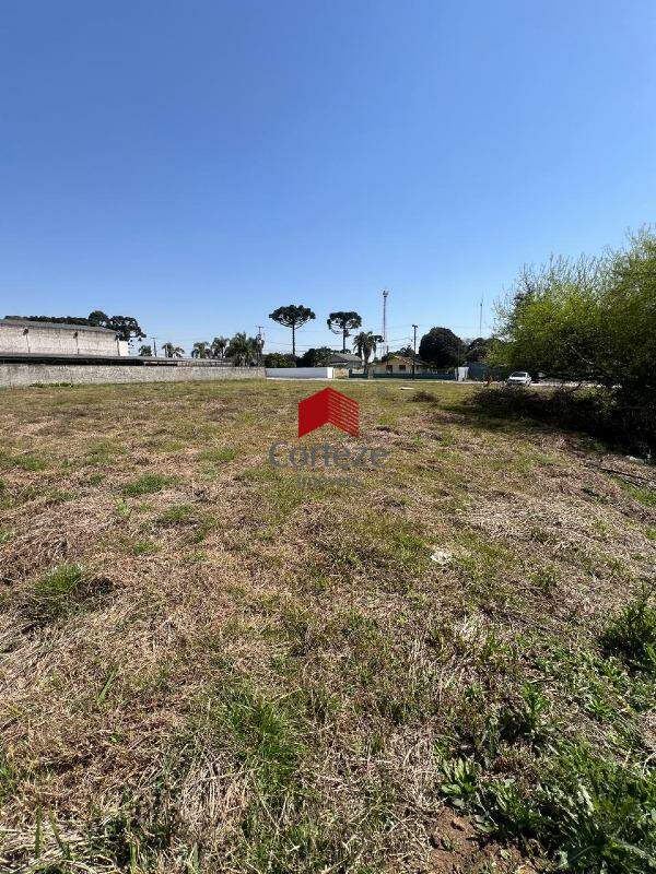 Terreno para à venda no Campo Largo da Roseira em São José dos Pinhais - 21433: 