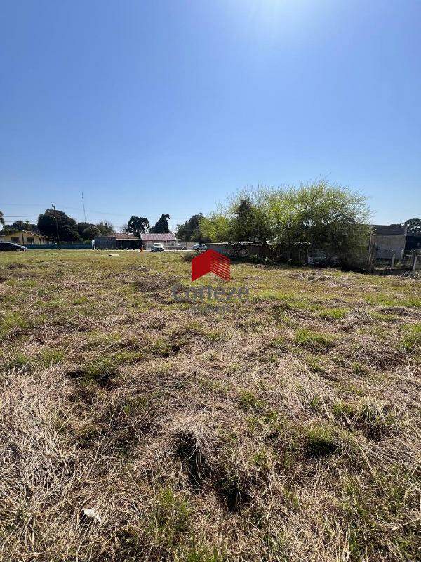 Terreno para à venda no Campo Largo da Roseira em São José dos Pinhais - 21433: 