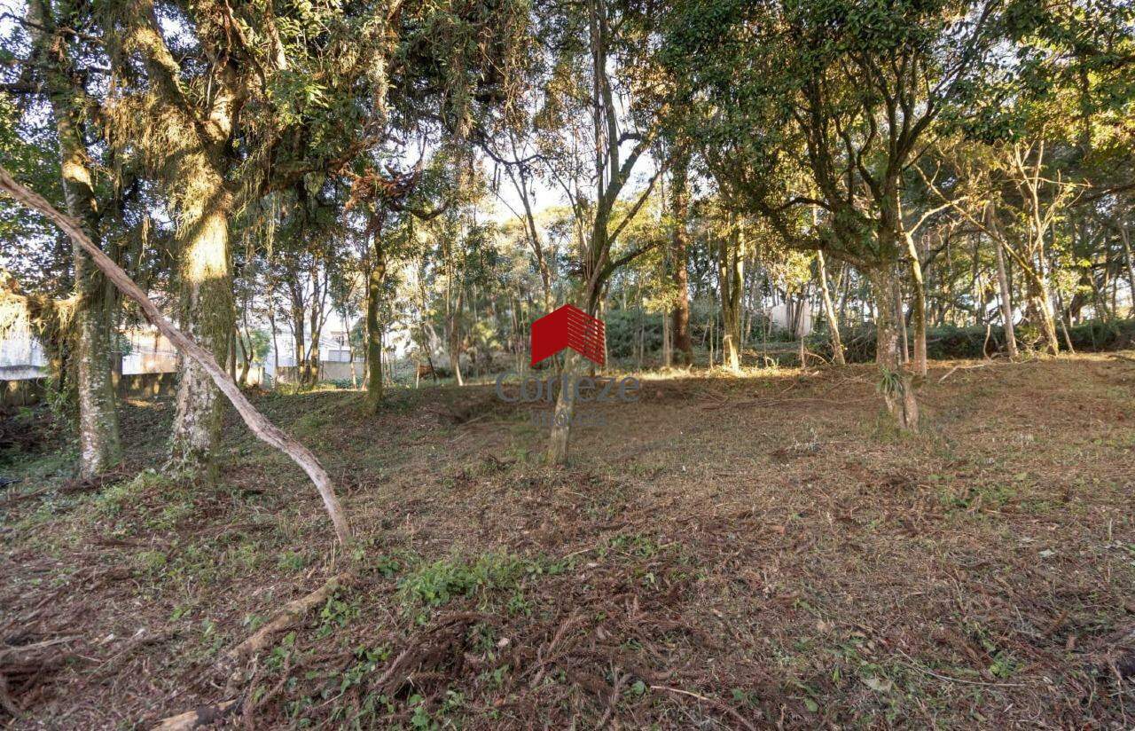 Terreno para à venda no Santa Felicidade em Curitiba - 21463: 