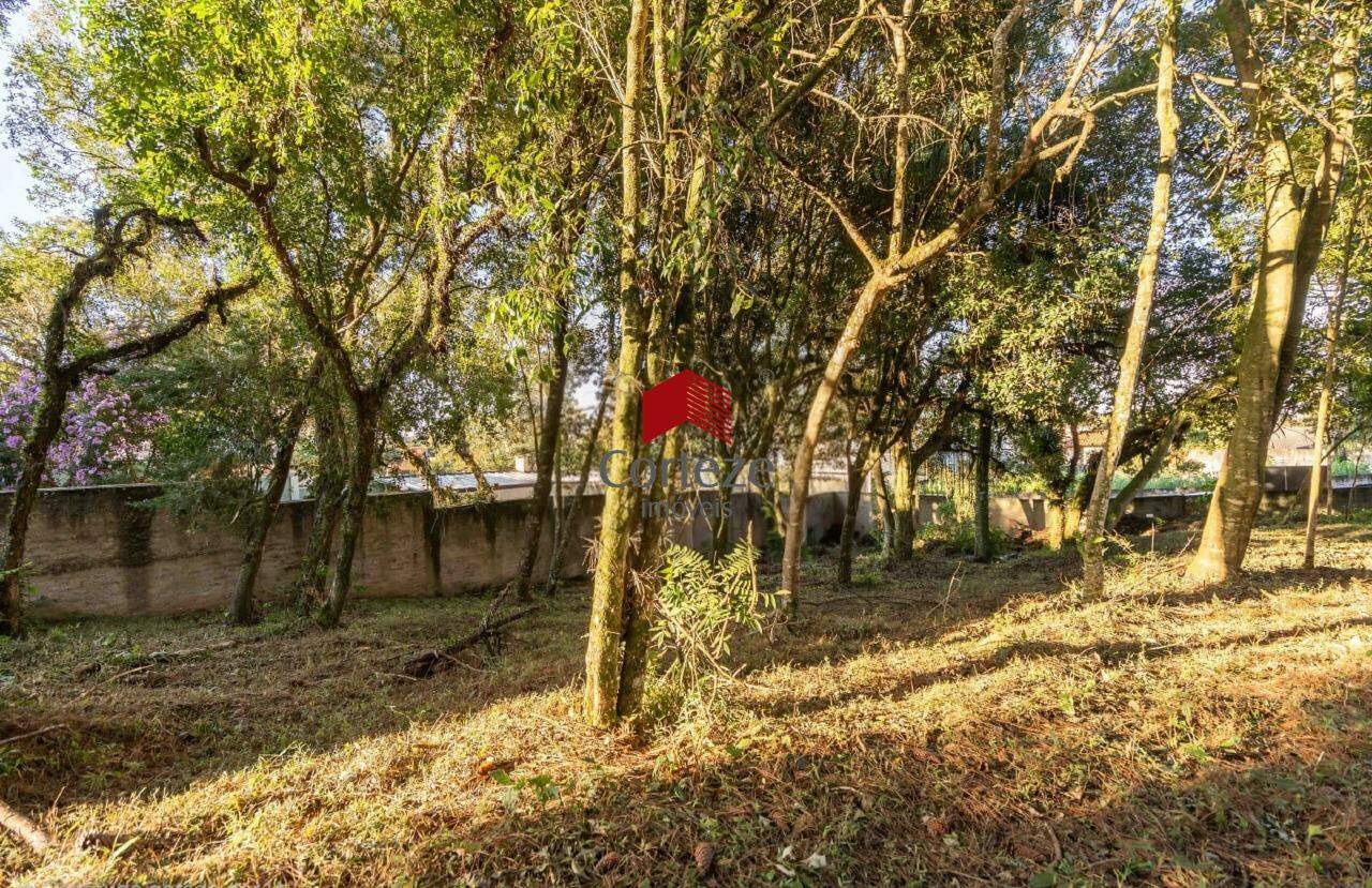 Terreno para à venda no Santa Felicidade em Curitiba - 21463: 