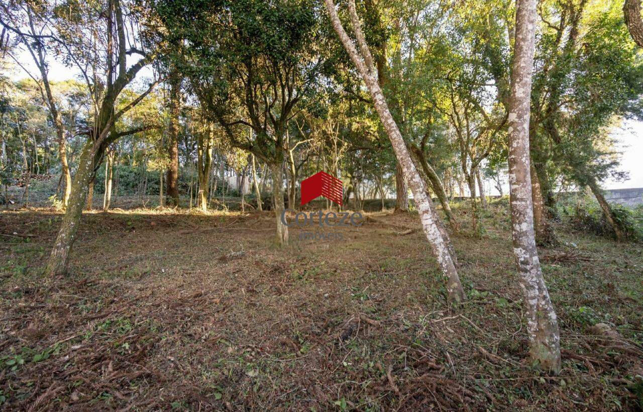 Terreno para à venda no Santa Felicidade em Curitiba - 21463: 