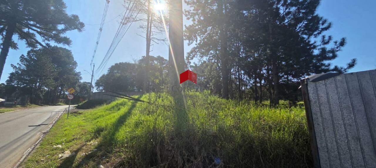 Terreno para à venda no SAO MIGUEL em Curitiba - 21464: 