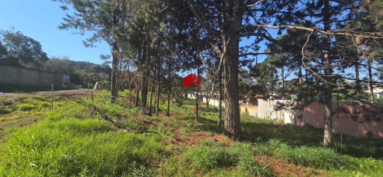 Terreno para à venda no SAO MIGUEL em Curitiba - 21464: 