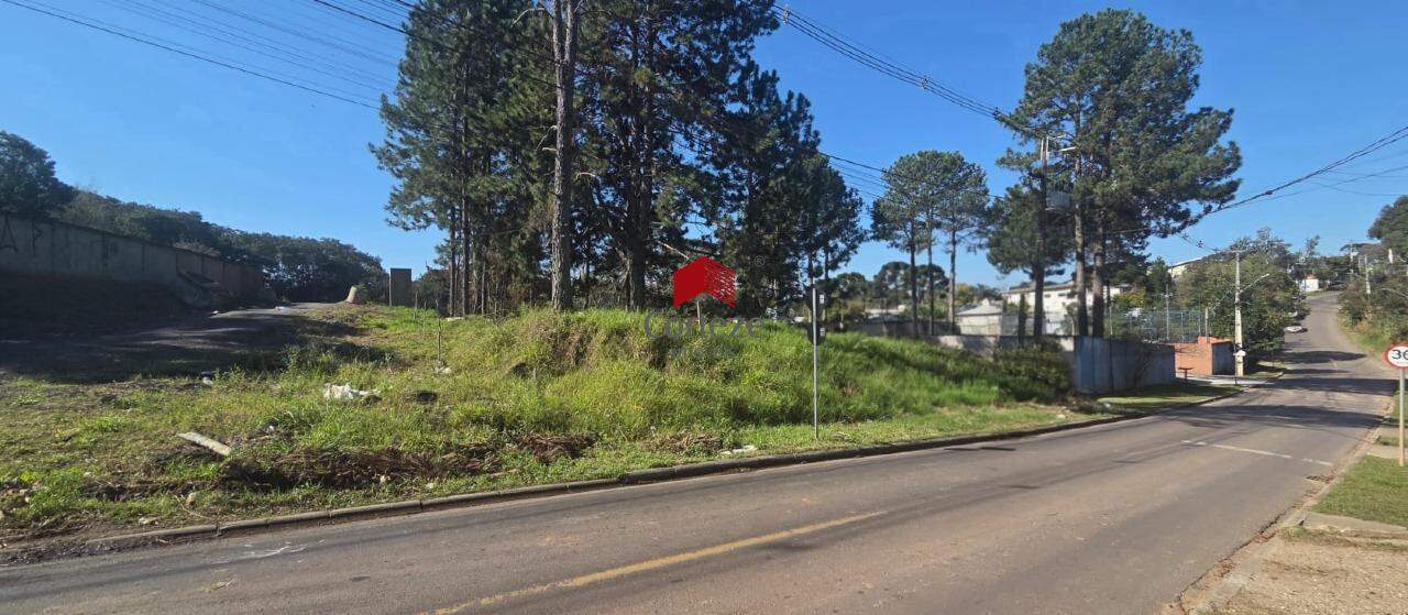 Terreno para à venda no SAO MIGUEL em Curitiba - 21464: 