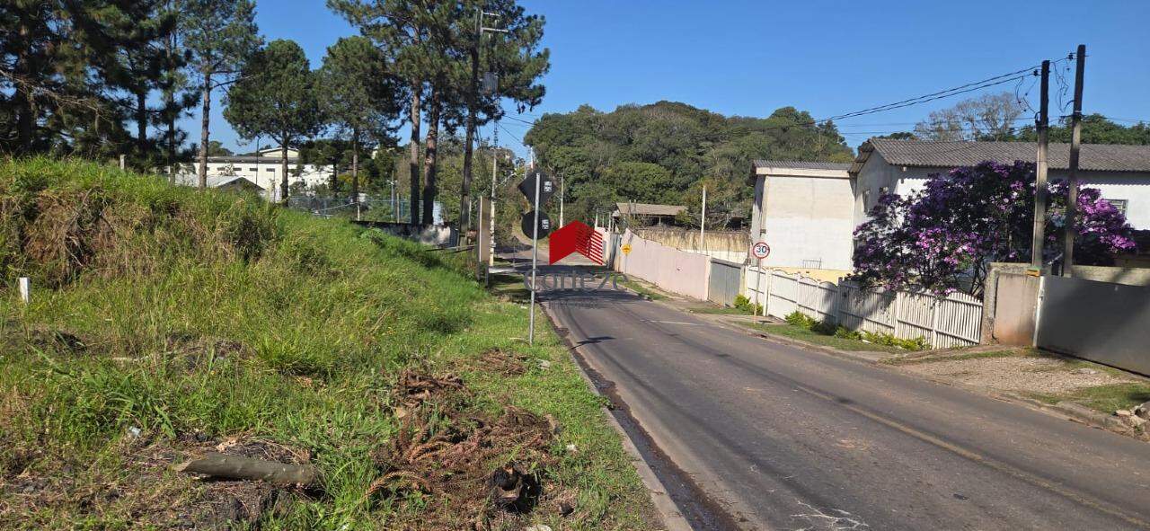 Terreno para à venda no SAO MIGUEL em Curitiba - 21464: 