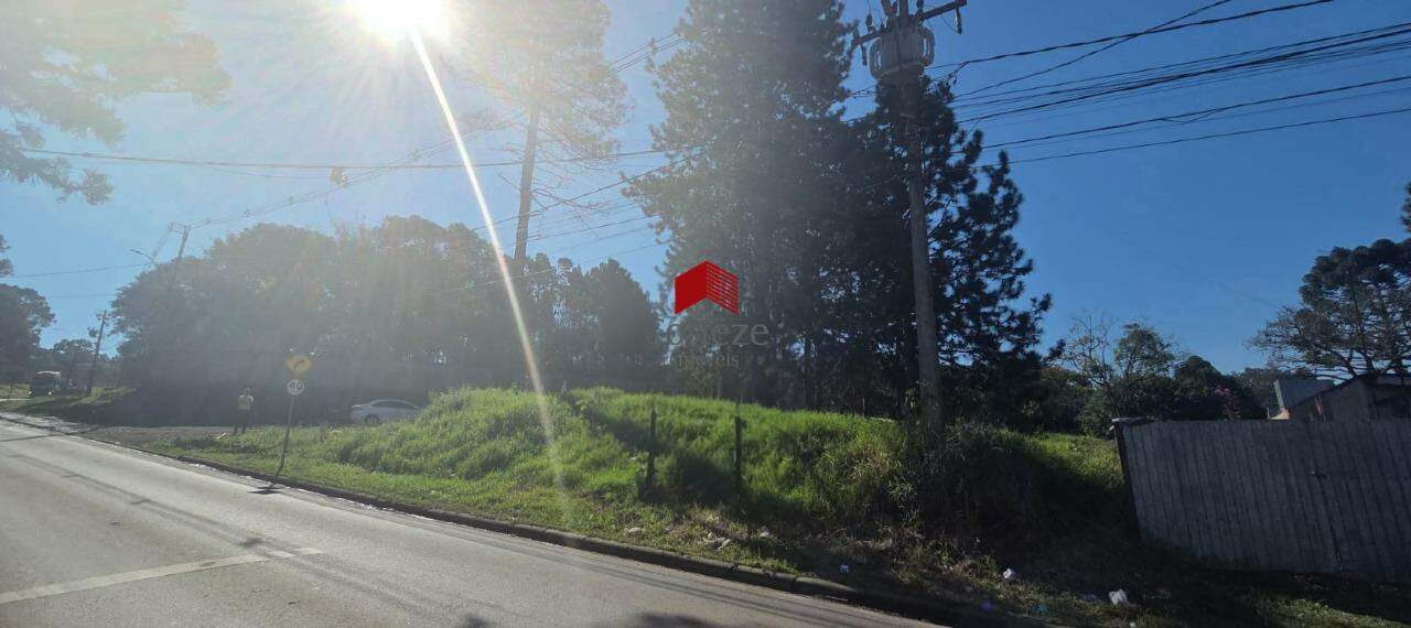 Terreno para à venda no SAO MIGUEL em Curitiba - 21464: 