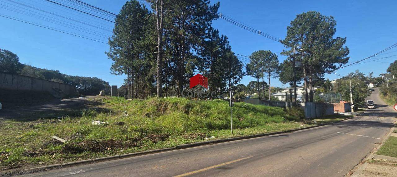 Terreno para à venda no SAO MIGUEL em Curitiba - 21464: 