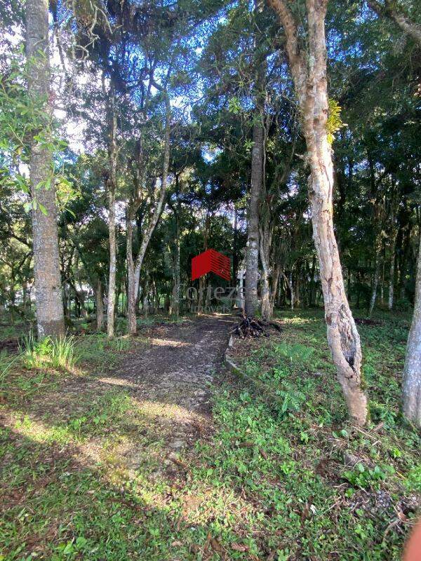 Terreno para à venda no Borda do Campo em São José dos Pinhais - 21465: 