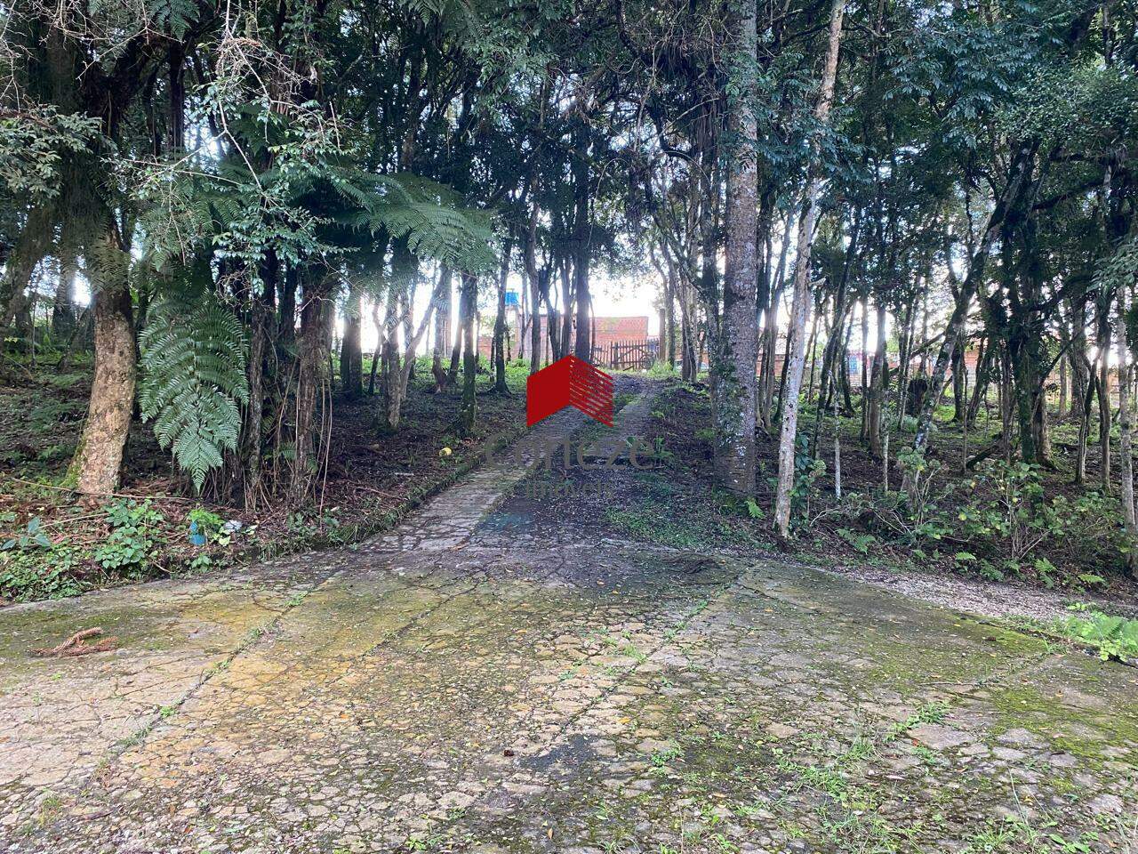 Terreno para à venda no Borda do Campo em São José dos Pinhais - 21465: 