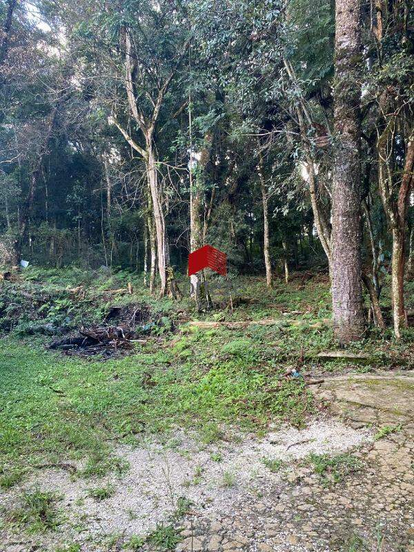 Terreno para à venda no Borda do Campo em São José dos Pinhais - 21465: 