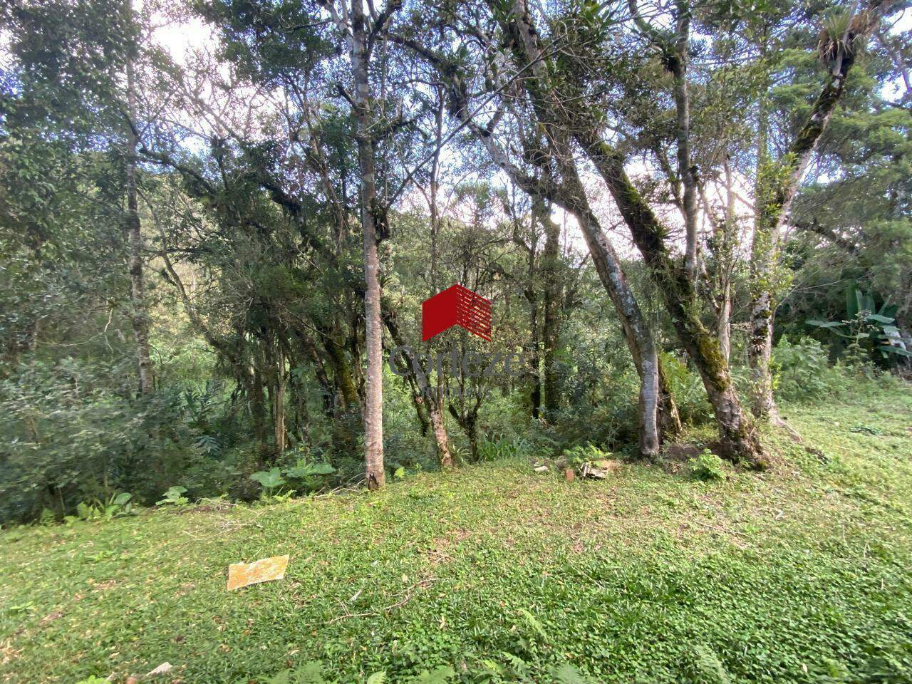 Terreno para à venda no Borda do Campo em São José dos Pinhais - 21465: 