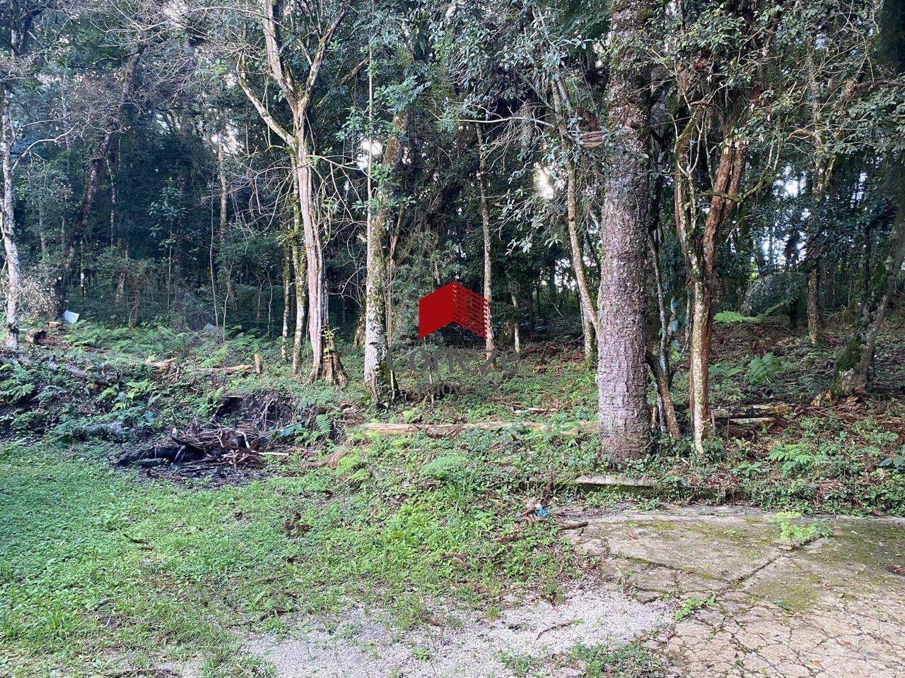 Terreno para à venda no Borda do Campo em São José dos Pinhais - 21465: 
