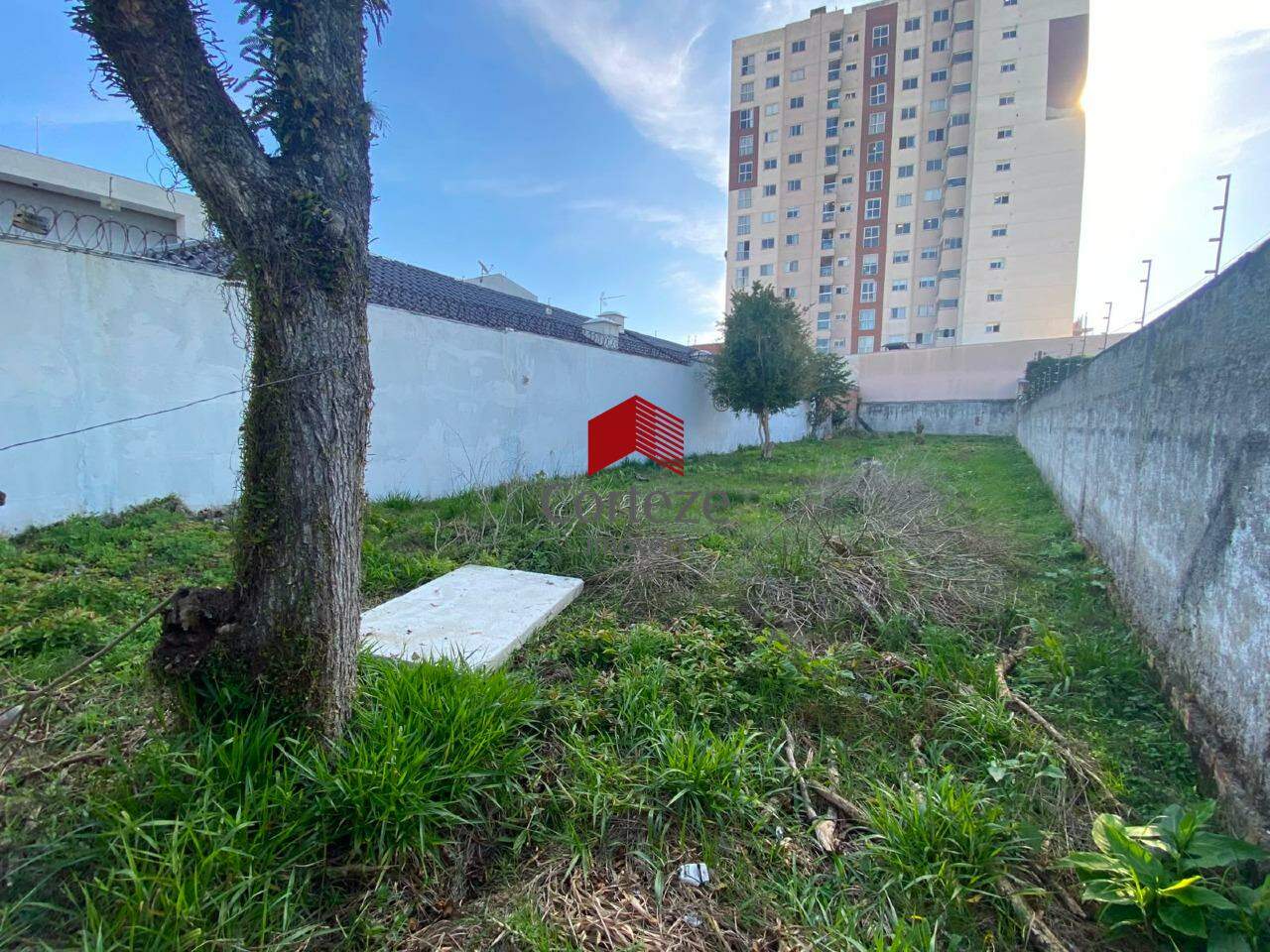 Terreno para à venda no São Pedro em São José dos Pinhais - 21493: 