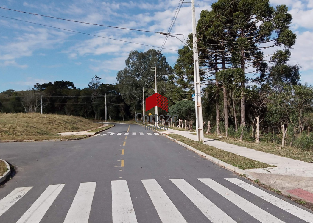 Terreno para à venda no Campina Da Barra em Araucária - 21556: 