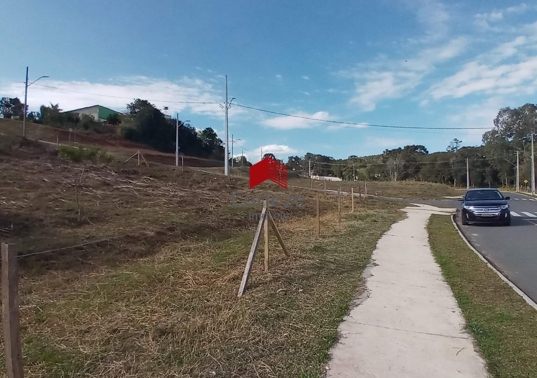 Terreno para à venda no Campina Da Barra em Araucária - 21556: 