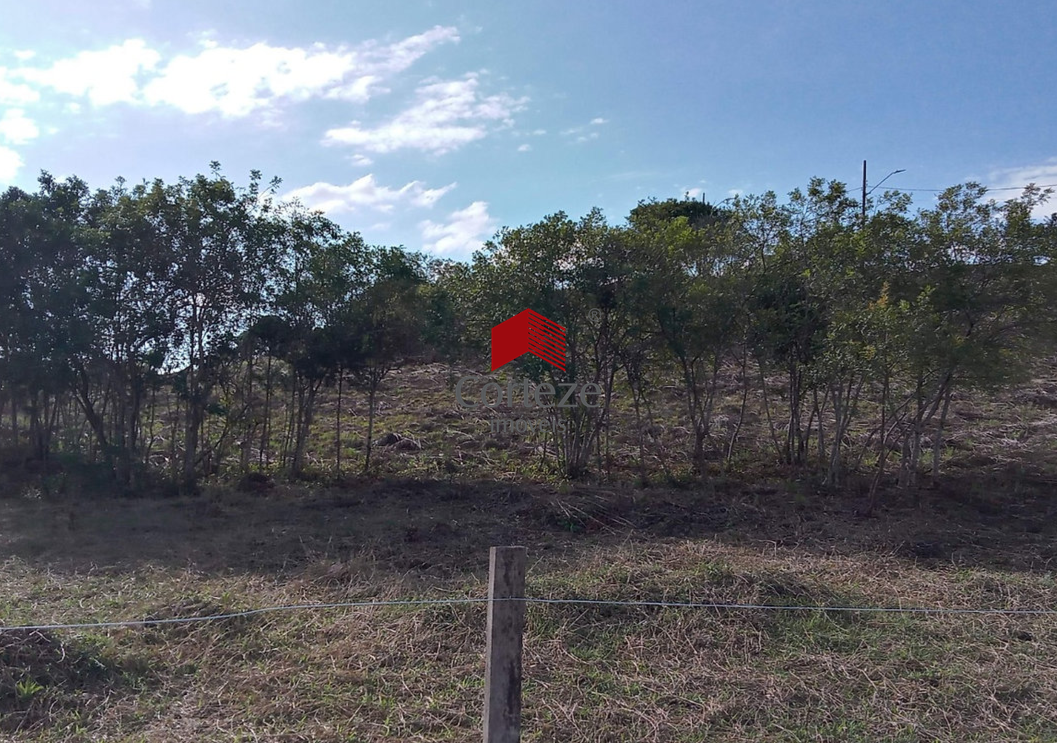 Terreno para à venda no Campina Da Barra em Araucária - 21556: 