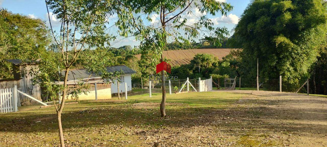 Chácara para à venda no Campestre da Faxina em São José dos Pinhais - 21557: 