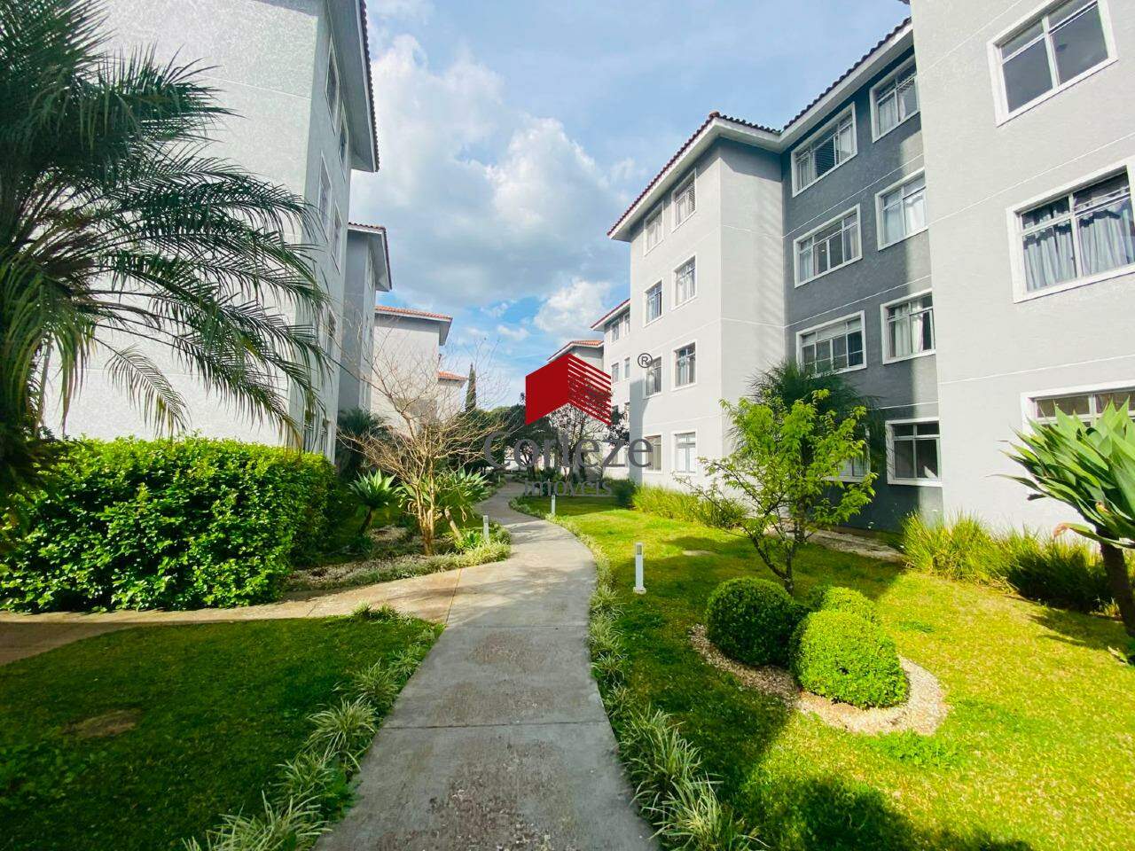 Apartamento para à venda no Pedro Moro em São José dos Pinhais - 21573: 