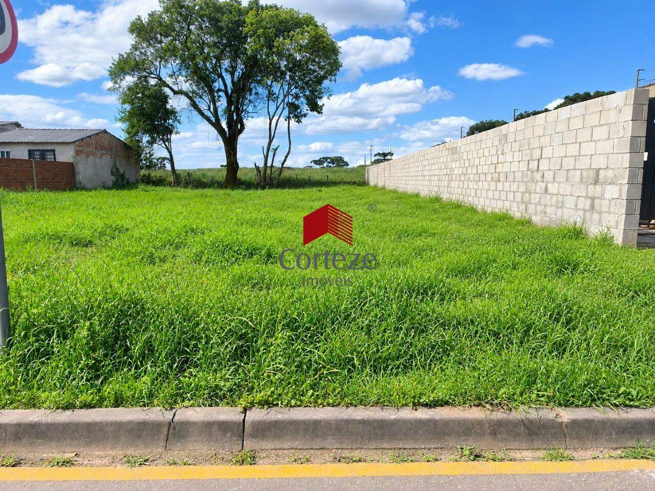 Terreno para para aluguel no Barro Preto em São José dos Pinhais - 21645: 