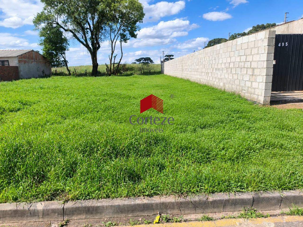 Terreno para para aluguel no Barro Preto em São José dos Pinhais - 21645: 