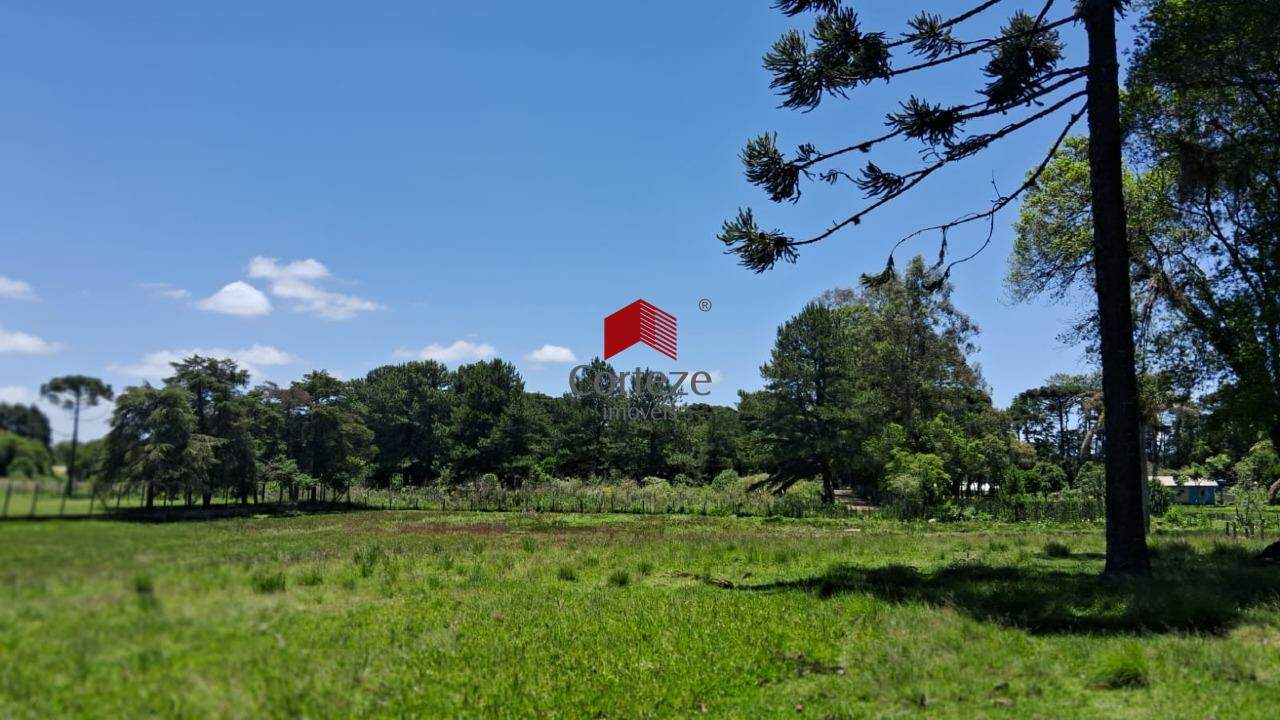 Terreno para à venda no Rio Pequeno em São José dos Pinhais - 3204: 
