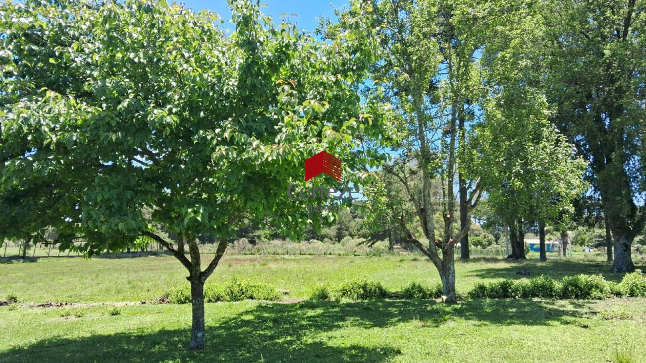 Terreno para à venda no Rio Pequeno em São José dos Pinhais - 3204: 