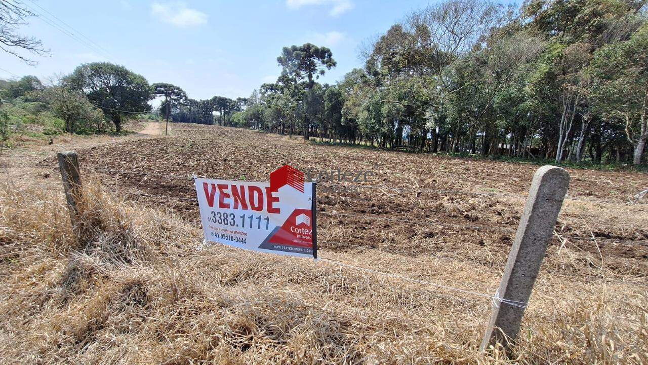 Terreno para à venda no Campo Largo da Roseira em São José dos Pinhais - 9830: 